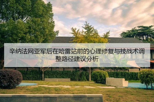辛纳法网亚军后在哈雷站前的心理修复与技战术调整路径建议分析